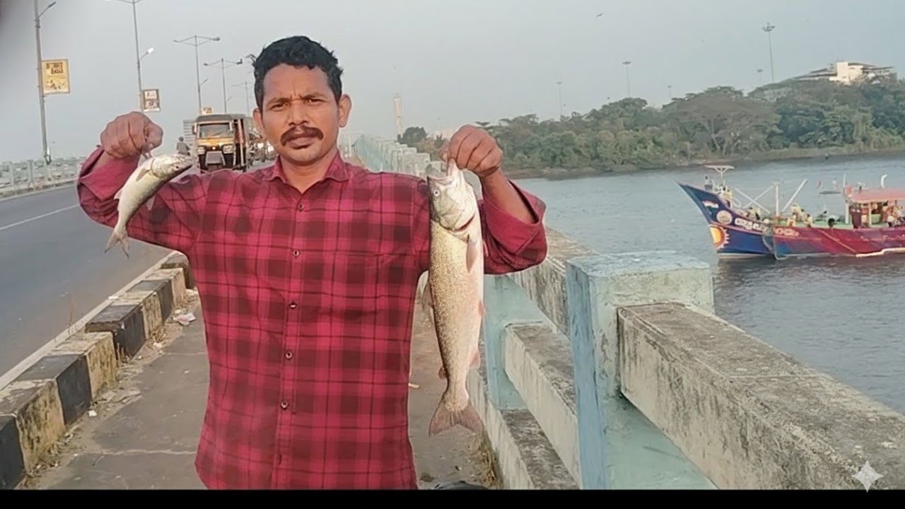ഇന്ന് ഞാൻ പിടിച്ചു കൂട്ടിയ മീനുകൾ #fishing #vairal #fishingequipment #india #kerala 