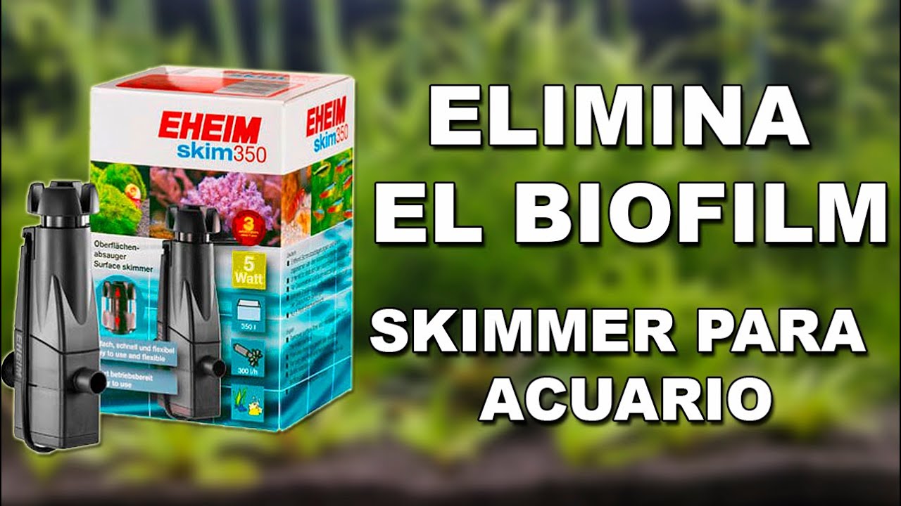Eheim Skim 350 | Skimmer para acuario | Unboxing y valoración del producto
