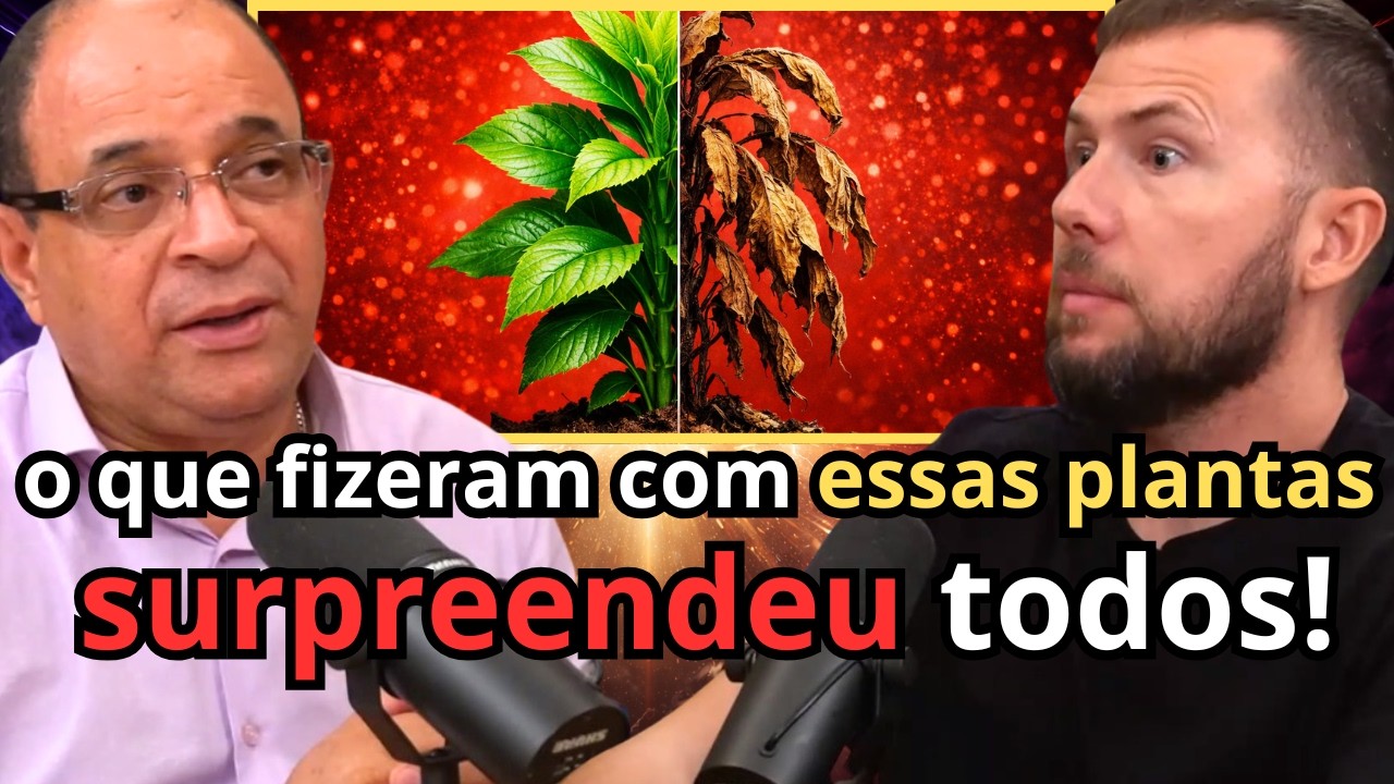 Metade vive. Metade morre. E o motivo &eacute; perturbador!