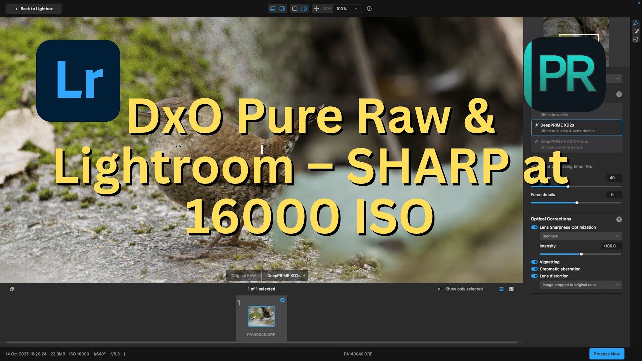 DxO Pure Raw и Lightroom – Редактирование фотографий для моей галереи