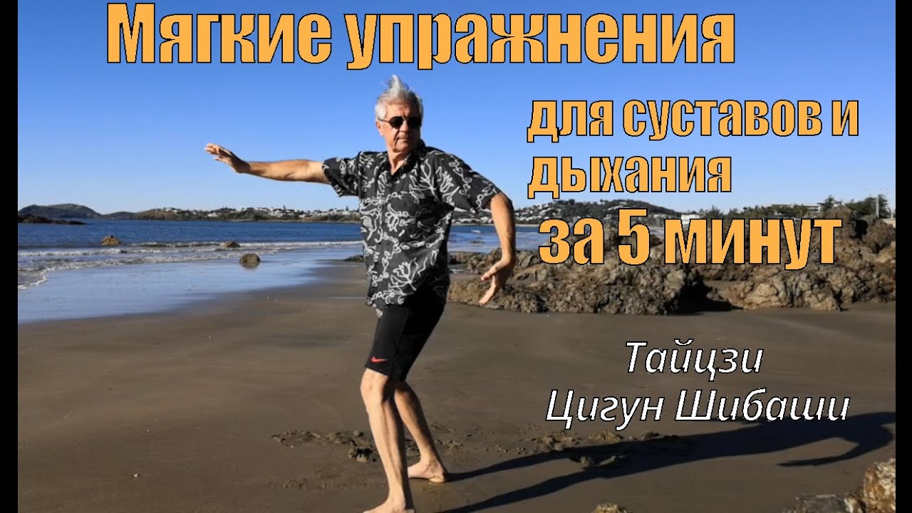 Мягкие упражнения для суставов и дыхания за 5 минут. Практика Тайцзи Цигун Шибаши