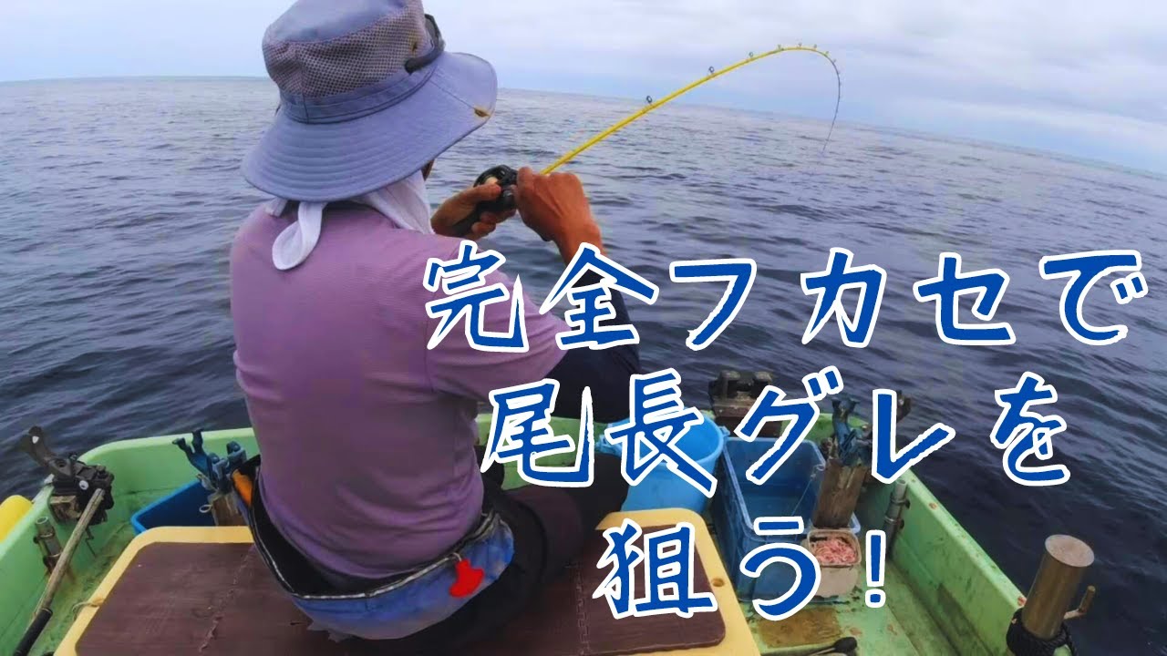 【完全フカセ/グレ釣り】完全フカセで５０ｃｍオーバーの尾長グレを狙ってみました！！
