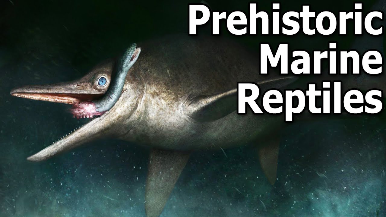 When Prehistoric Marine Reptiles Ruled the Waves | BoneHeads