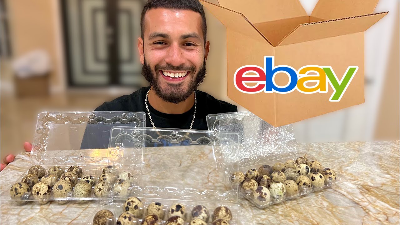 WE BOUGHT QUAIL EGGS OFF EBAY! Will They Hatch?!