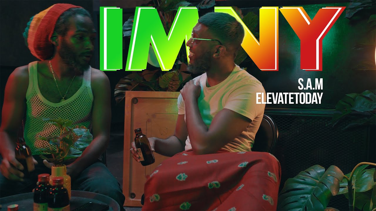 S.A.M & elevatetoday - I.M.N.Y (It's Me Not You)