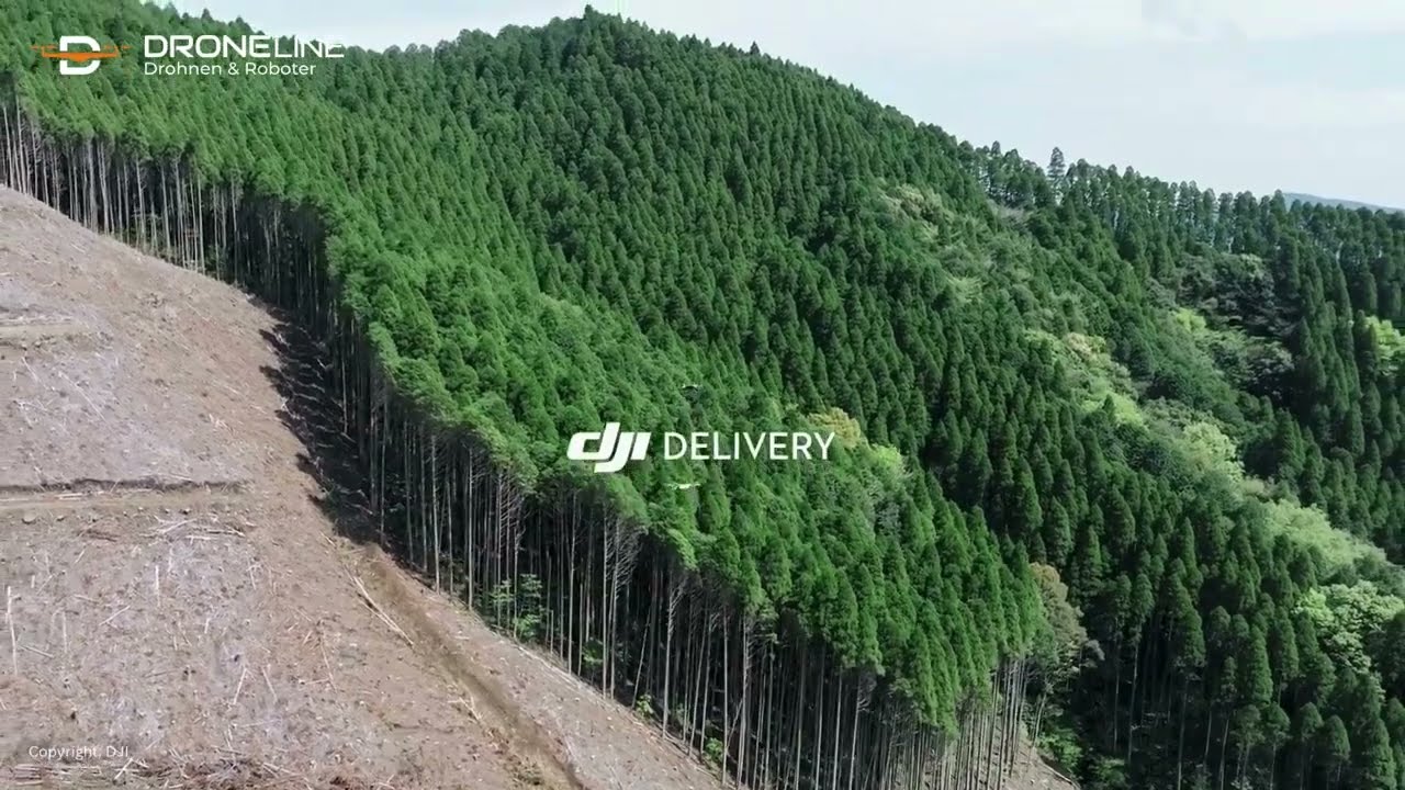 DJI FlyCart 30 in der Forstwirtschaft | DJI Delivery | DRONELINE