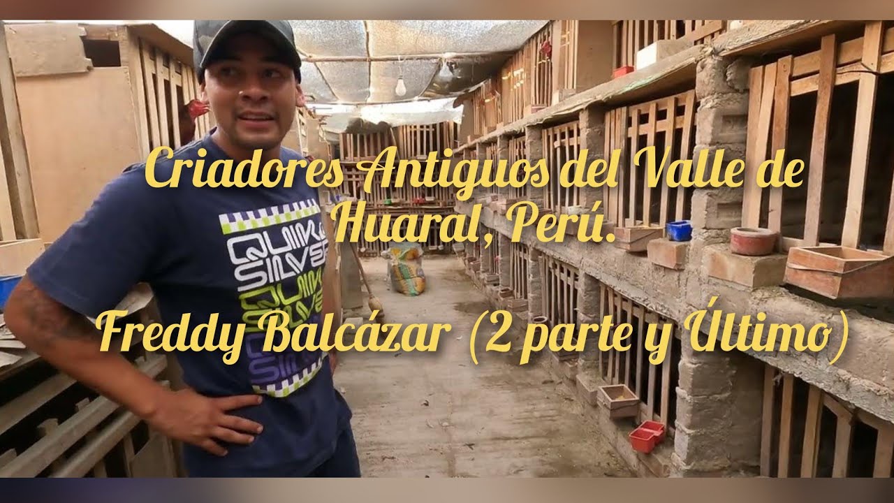 ENTREVISTA A ANTIGUOS CRIADORES DE HUARAL- FREDDY BALCAZAR (CRIADORES ANTIGUOS) Parte 2 y ultima.