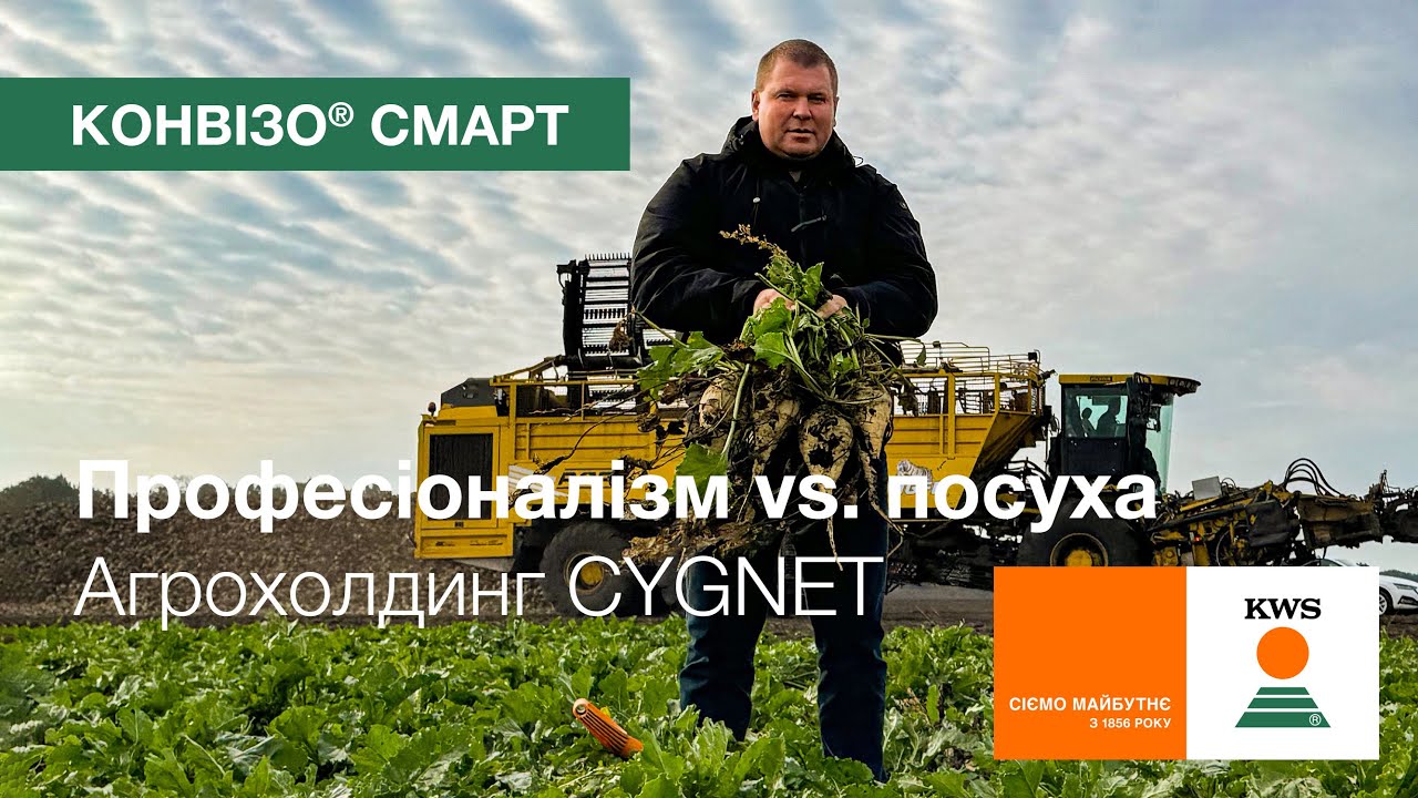 КОНВІЗО® СМАРТ та професіоналізм проти посухи: підсумки сезону 2024. CYGNET | Цукрові буряки KWS