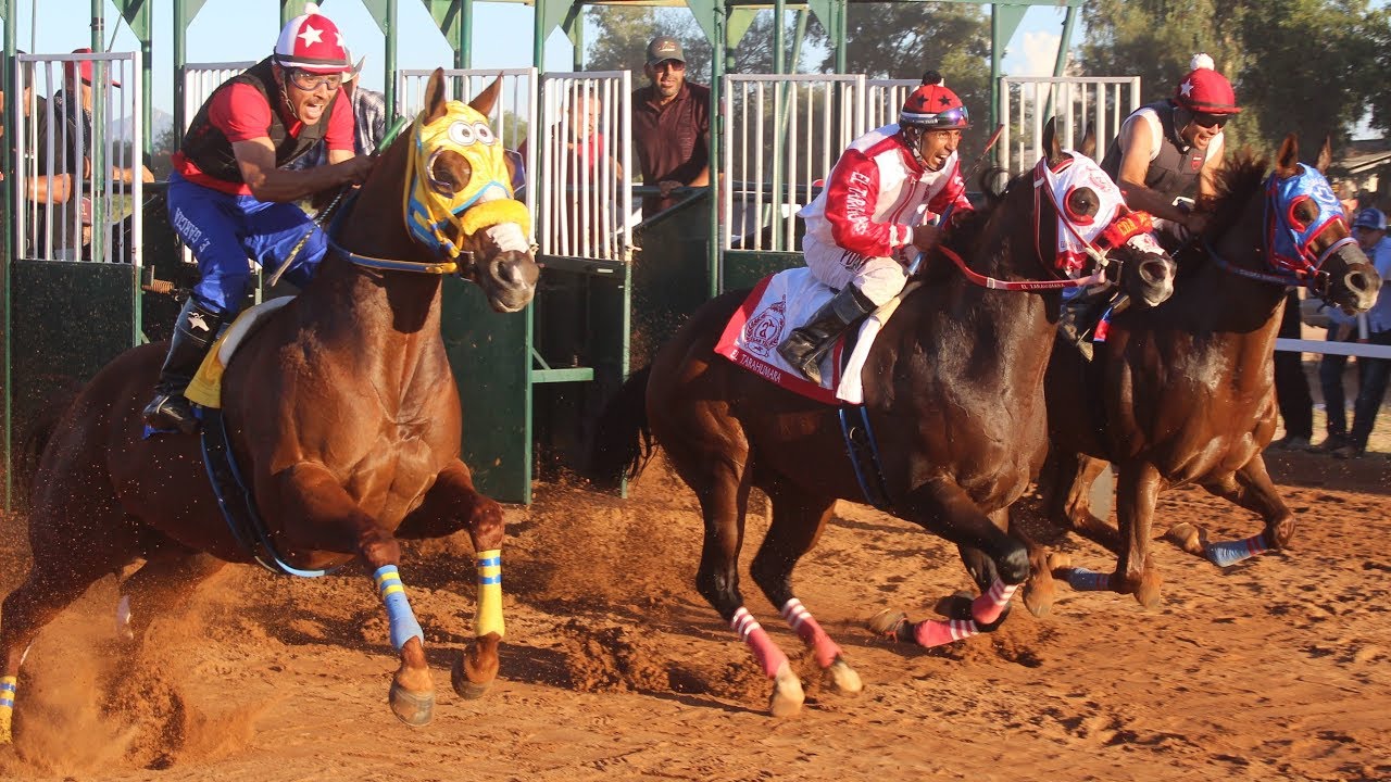 Carreras de Caballos en el Hipodromo de Rayon 06 de Octubre 2019