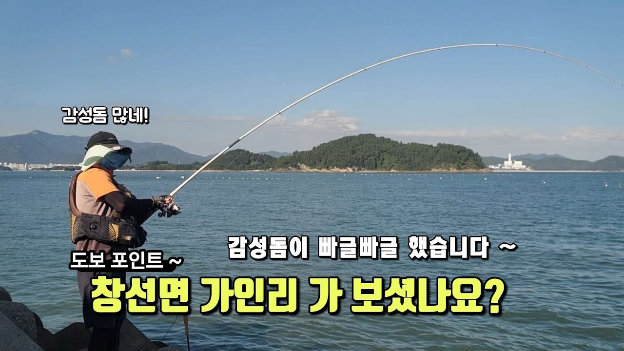 여기 감성돔 많네요(창선면 가인리)~오후 늦게 출조해서 손맛보고 왔습니다