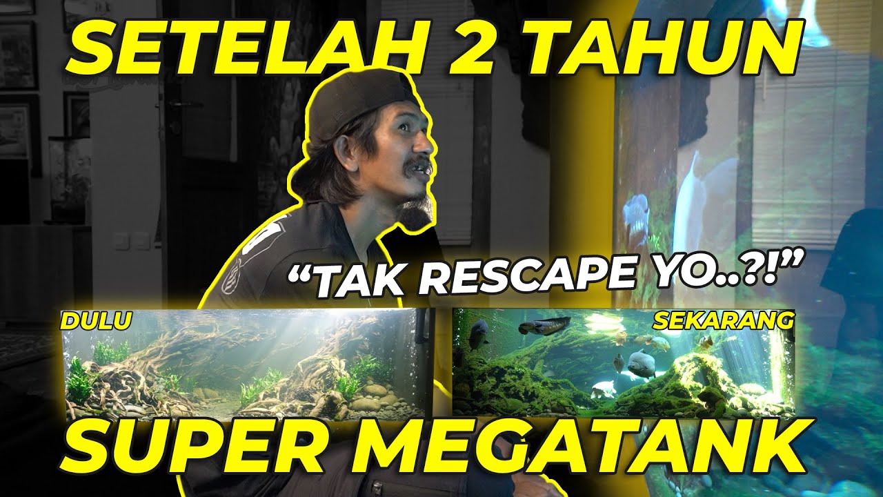 2 TAHUN SUPER MEGATANK BARENG CAK HERRY ❗ 