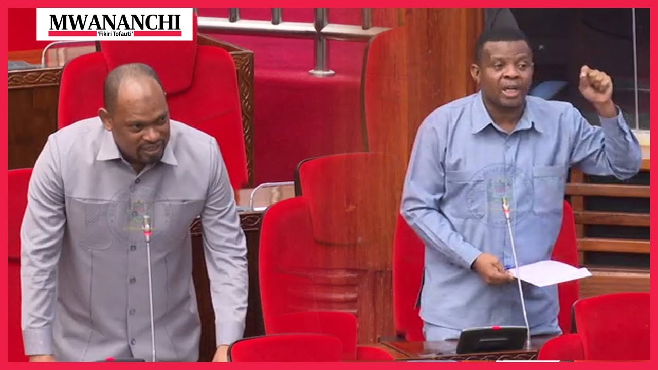Tazama jinsi Naibu Waziri wa Fedha alivyoingilia TIMBWILI la Mbunge kuondoka na MSHAHARA wa Waziri