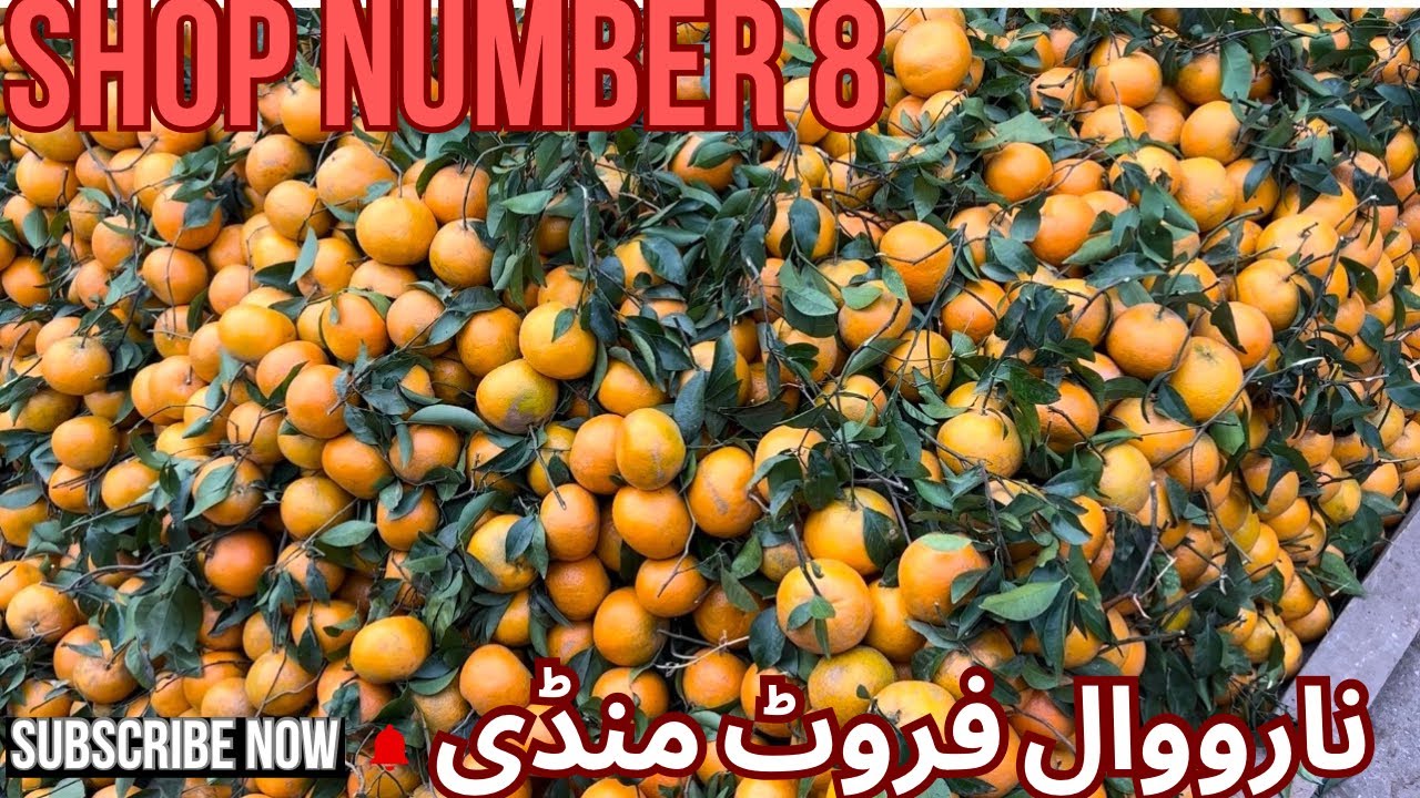 24 November 2025 Keno Vip A Gi Narowal Fruit Mandi 🍊🍊🍊🍊🍊🍊🍊🍊🍊🍊🍊🍊🍊🍊🍊🍊🍊