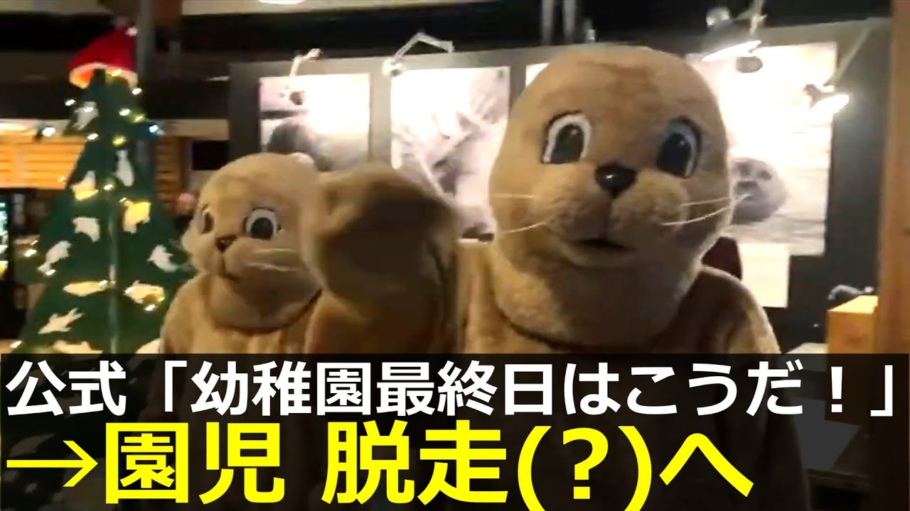 アザラシ幼稚園、園児が脱走(?)してしまう