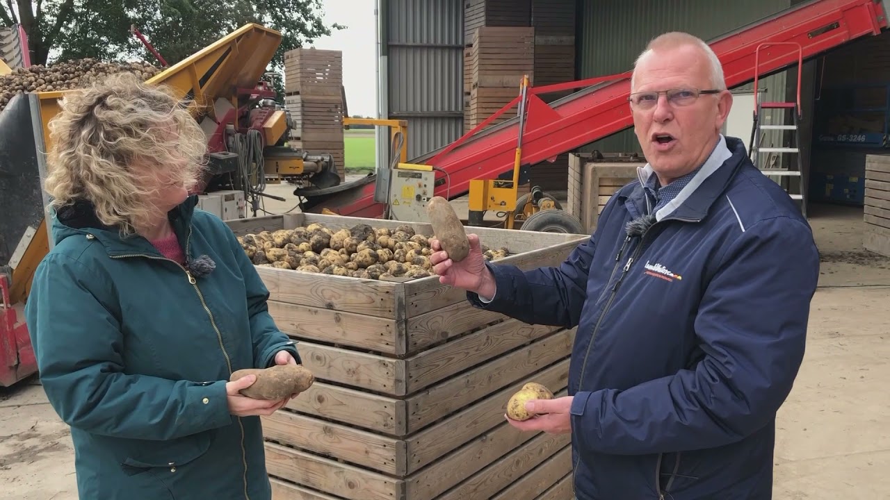 De Lelystadse Boer - Wat je nog niet wist over aardappels
