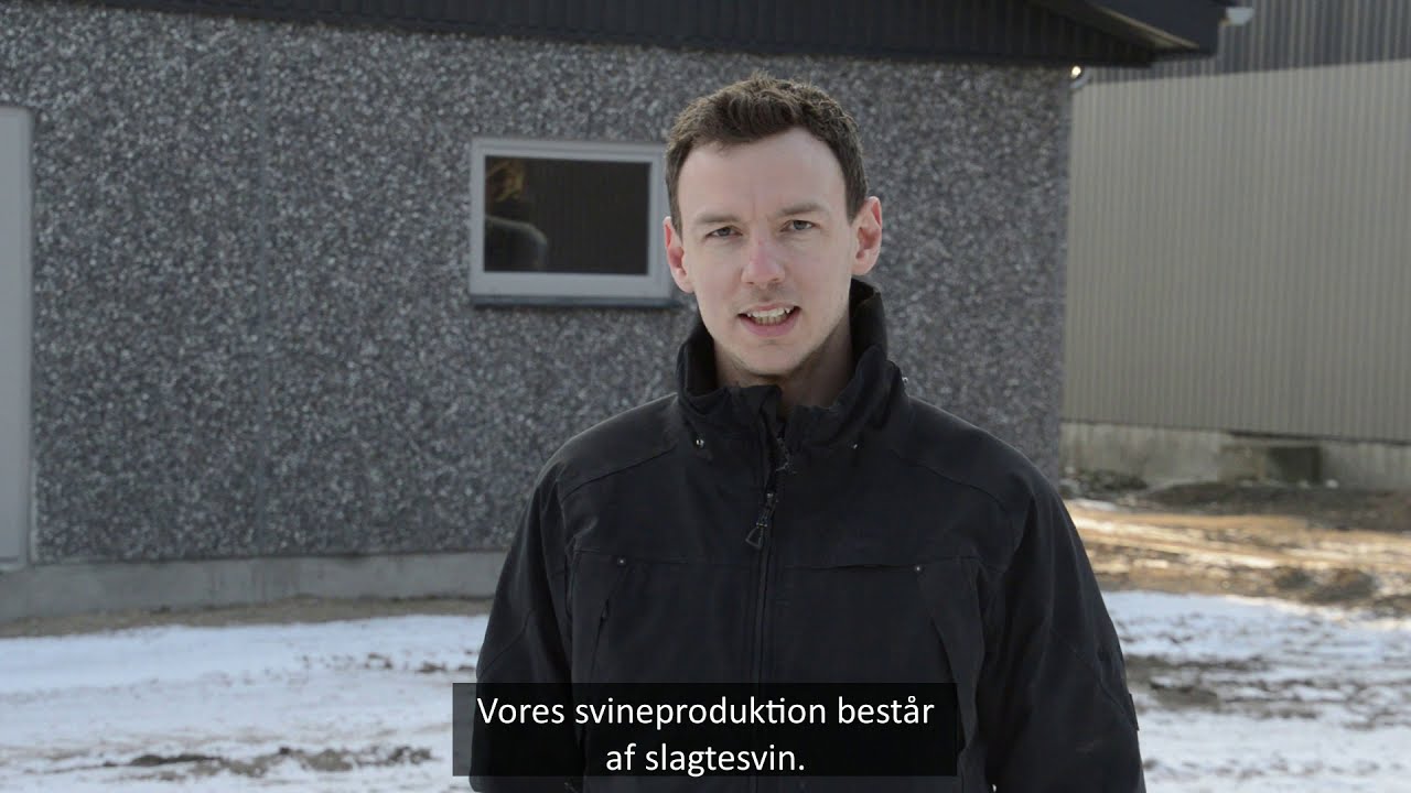 Svineproduktion hos Lars andersen | Vinterfaglige Møder 2021