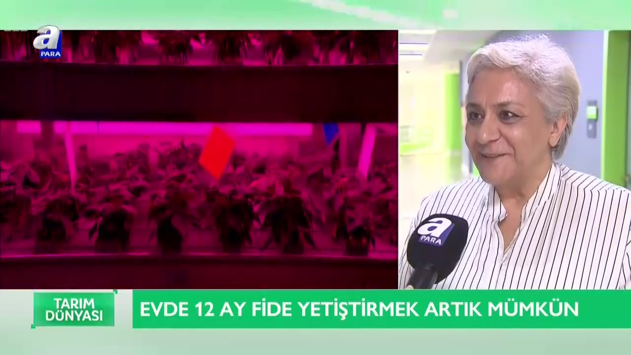 Bitki yetiştiren akıllı tarım makinesi - Hextech Green kurucusu Bilge Akgün anlattı. | A Para