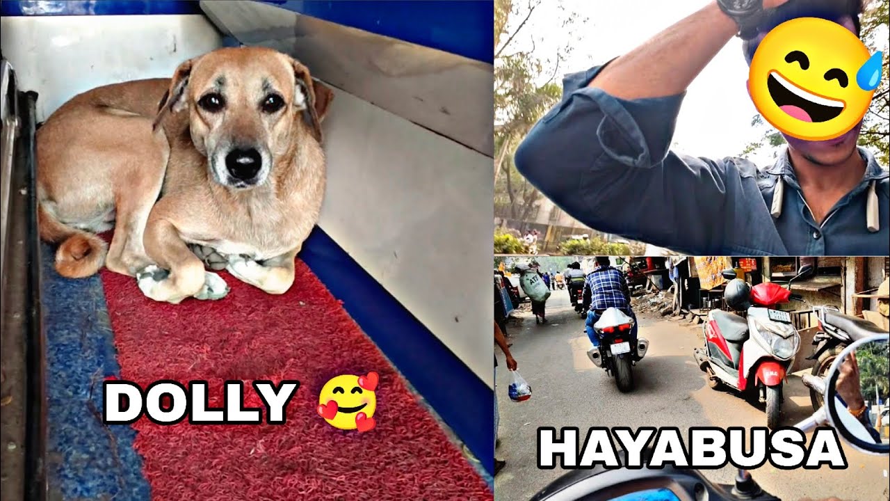 AAJ SILVER COLOUR KI HAYABUSA DIKHI 😱 |#viralvideo #hayabhusa #dogs #youtubechannel 