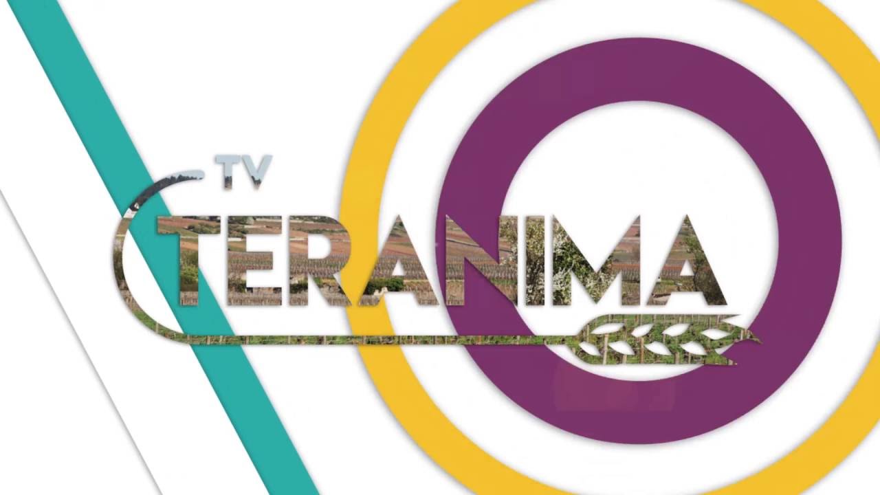 L'edito : l'&eacute;levage entre promesses et difficult&eacute;s - Teranima TV