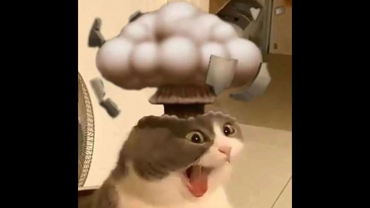51