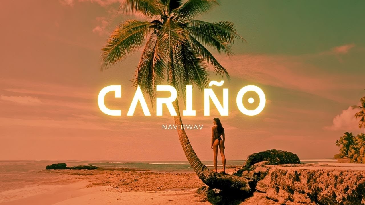 Reggaeton x AfroBeat x Dancehall Type Beat | Nylon Guitar Vibes | Cariño