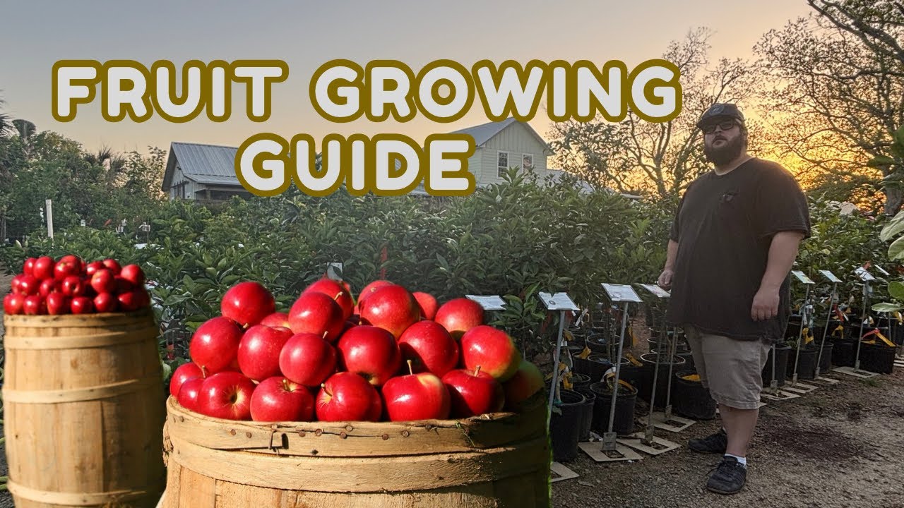 Bountiful Fruit Trees That Thrive in Texas