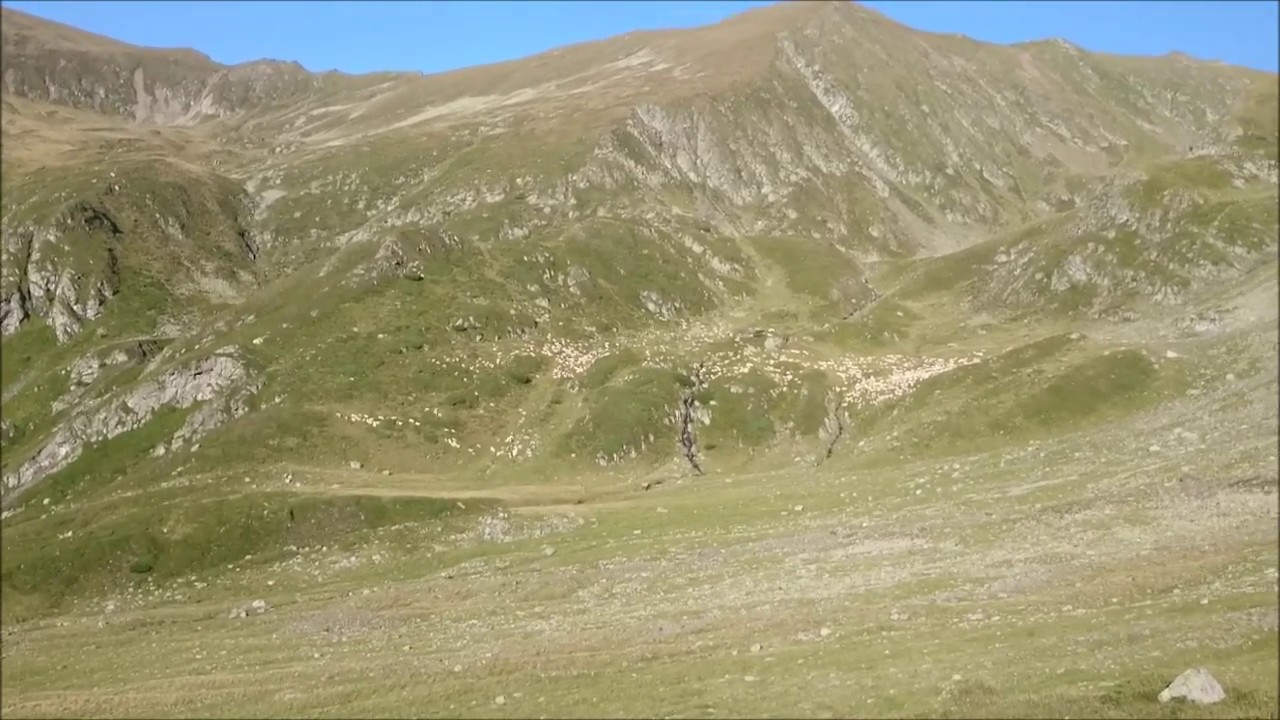 Ascensiune pe Vf Dara 2500m,prin Valea Bandei 27 aug 2017