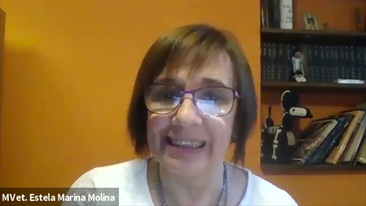 Webinar: Actualización de la Ecografía nefrourológica. Avances en ecografía veterinaria.