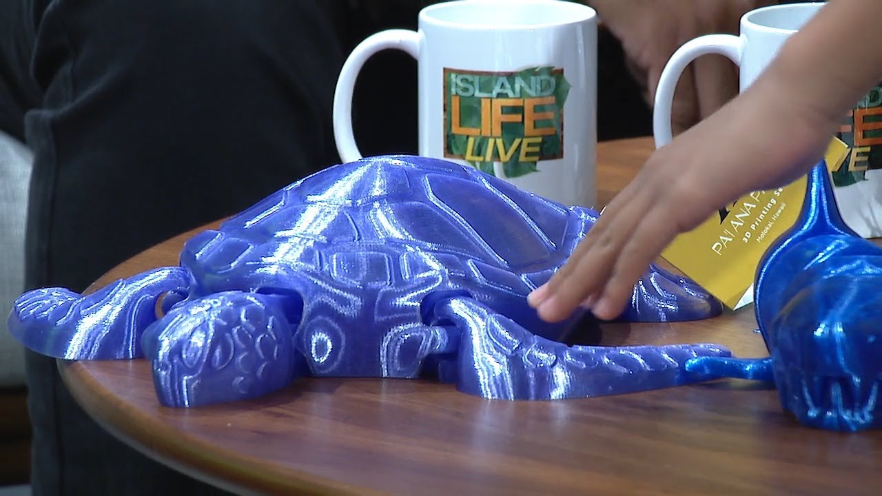 3D Art from Moloka'i Perpetuates 'Ōlelo Hawaiʻi For All Ages