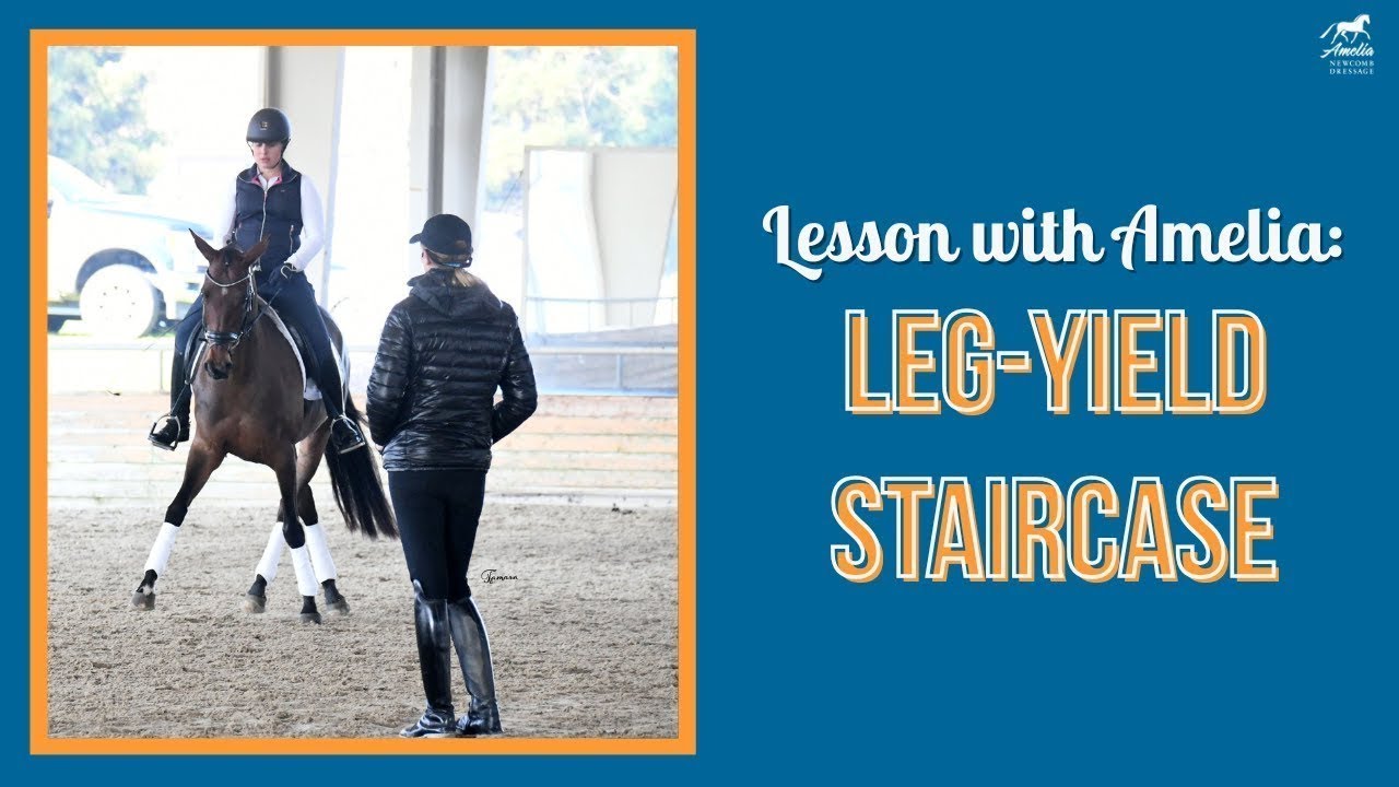 Improve Your Leg-Yield with this Exercise