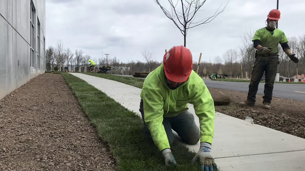 Sod Install Time Lapse (BIG PROJECT!!)