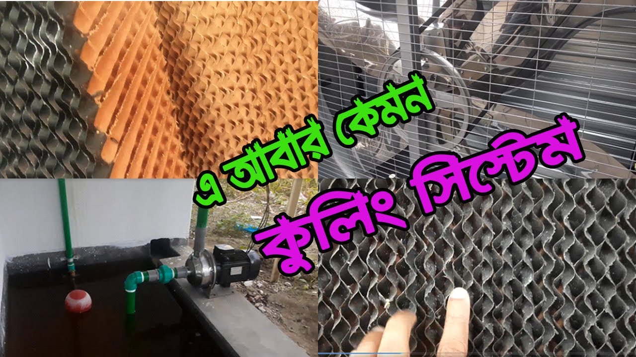 এ যেন এক আজব কুলিং সিস্টেম  /cooling system/ মুরগীর আর গরম লাগবেনা।