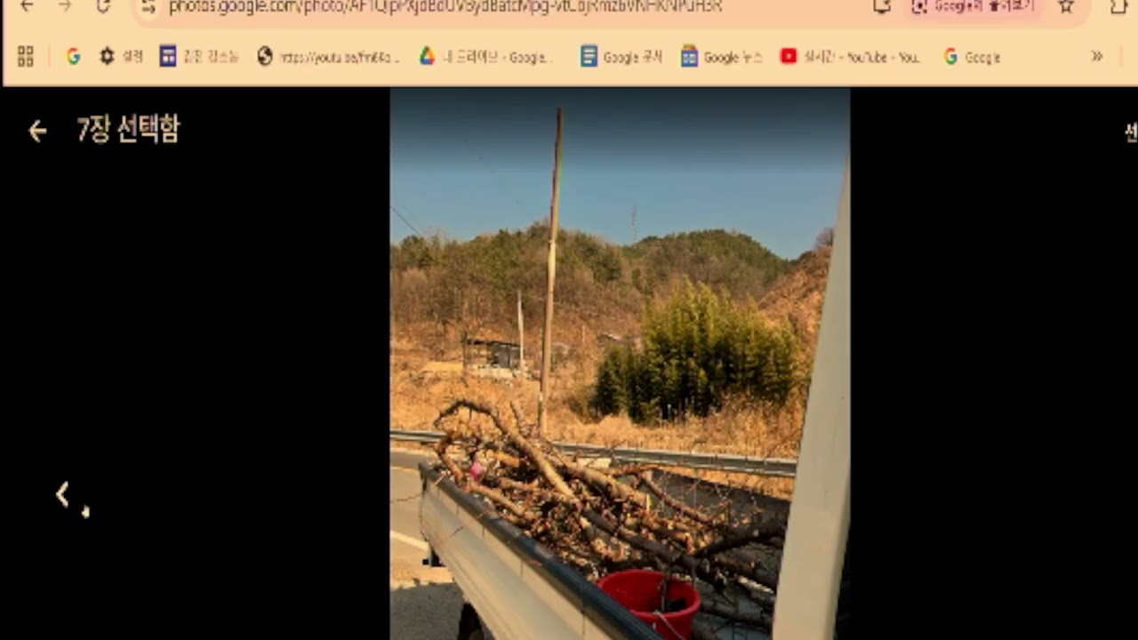 홍자매 농원 26녕 6월 21일 소식 입니다.