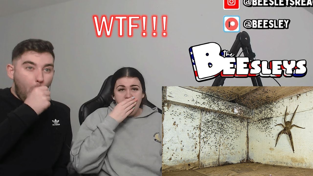 35 Biggest Creatures Ever Captured ! | British Couple Reacts