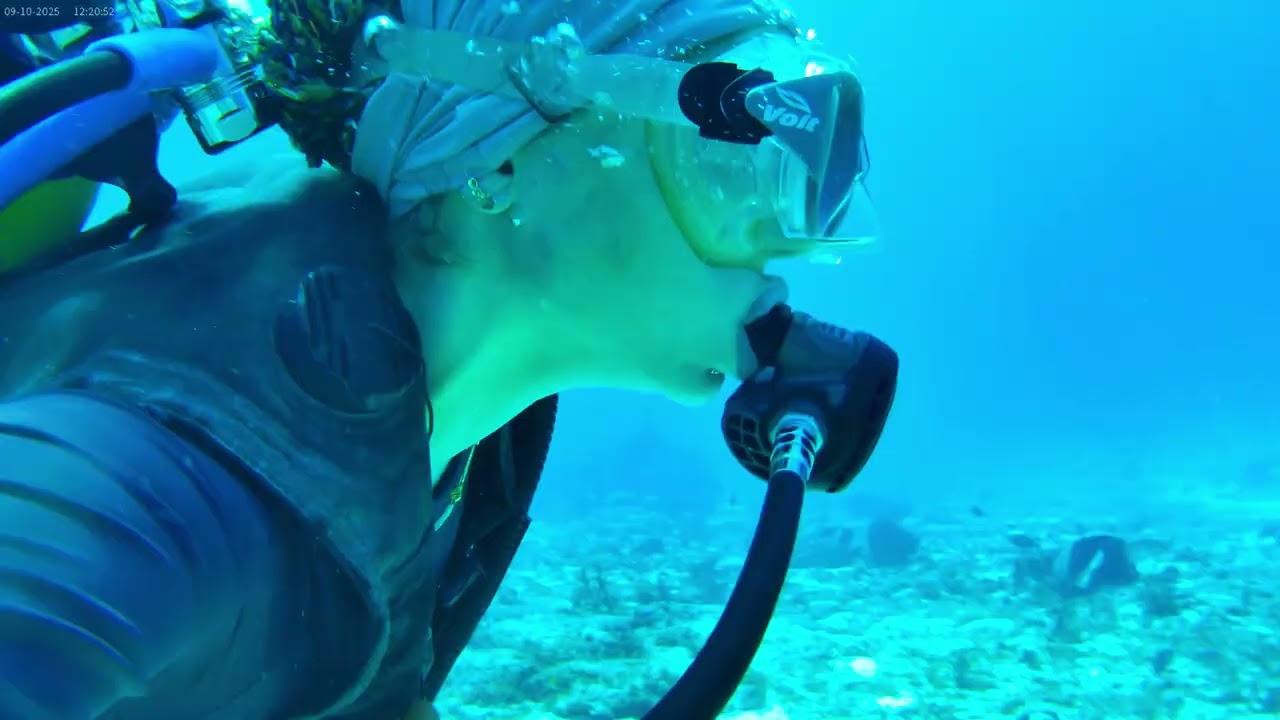 2025-10-09 scubadiving Cozumel