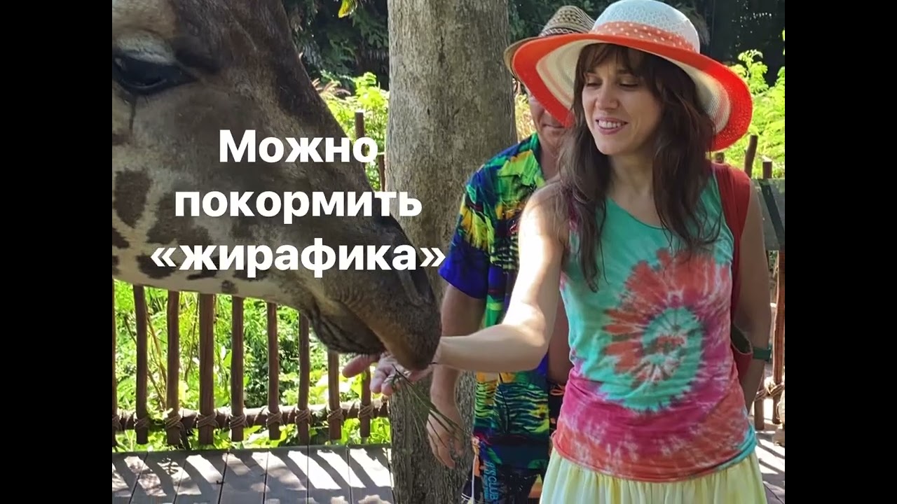 Наша семья в сафари-парке