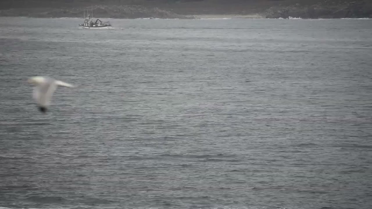 Cerquero RIOBAO UNO pasando por las inmediaciones de la Punta da Barca de Muxía