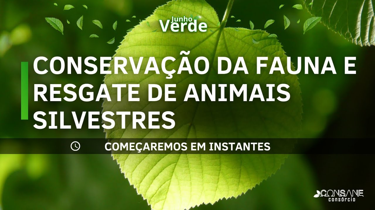 Conservação da fauna e resgate de animais silvestres