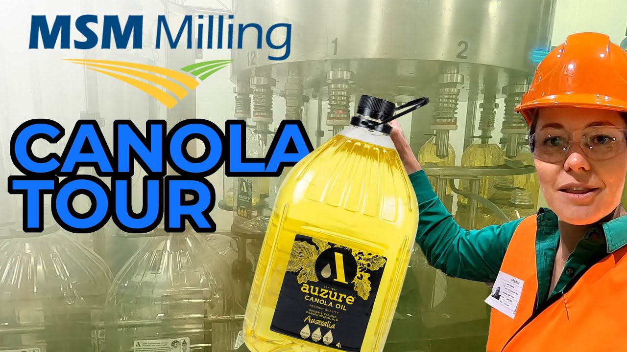 HOW CANOLA OIL IS MADE | Tour of MSM Milling in Manildra NSW. Canola Mill Process