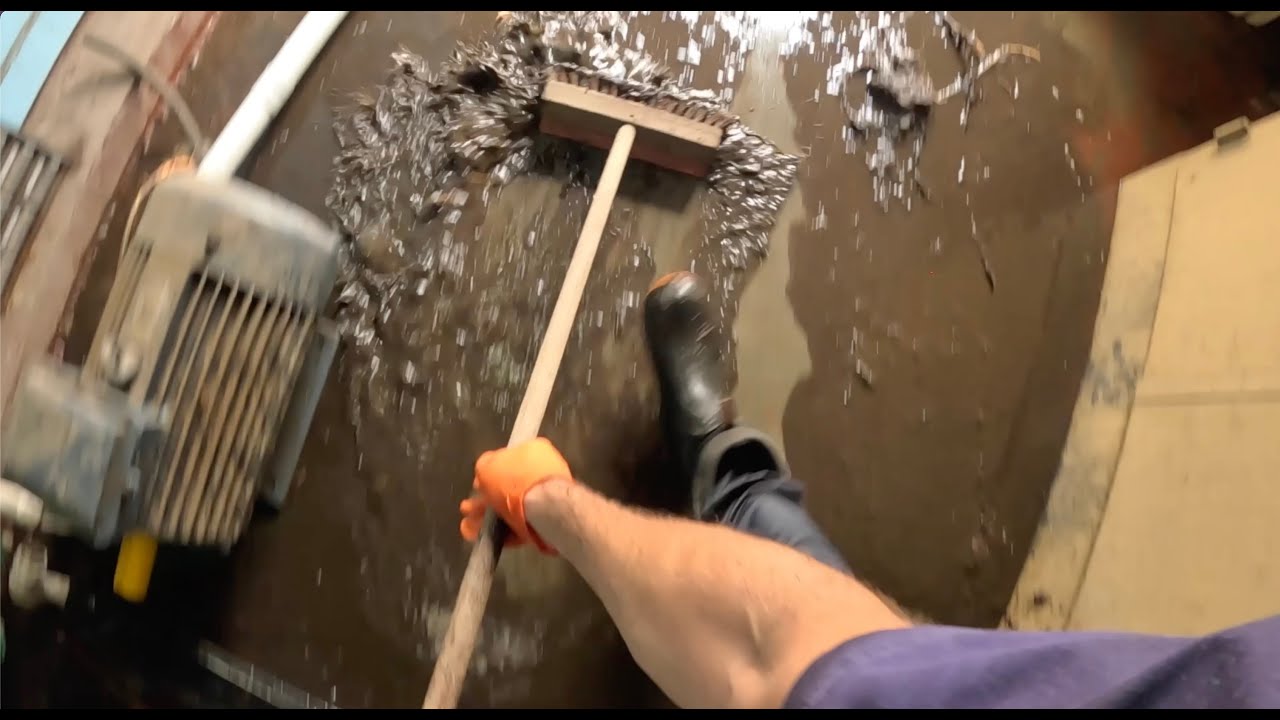 Drain Cleaning - Uncut # 127 👍