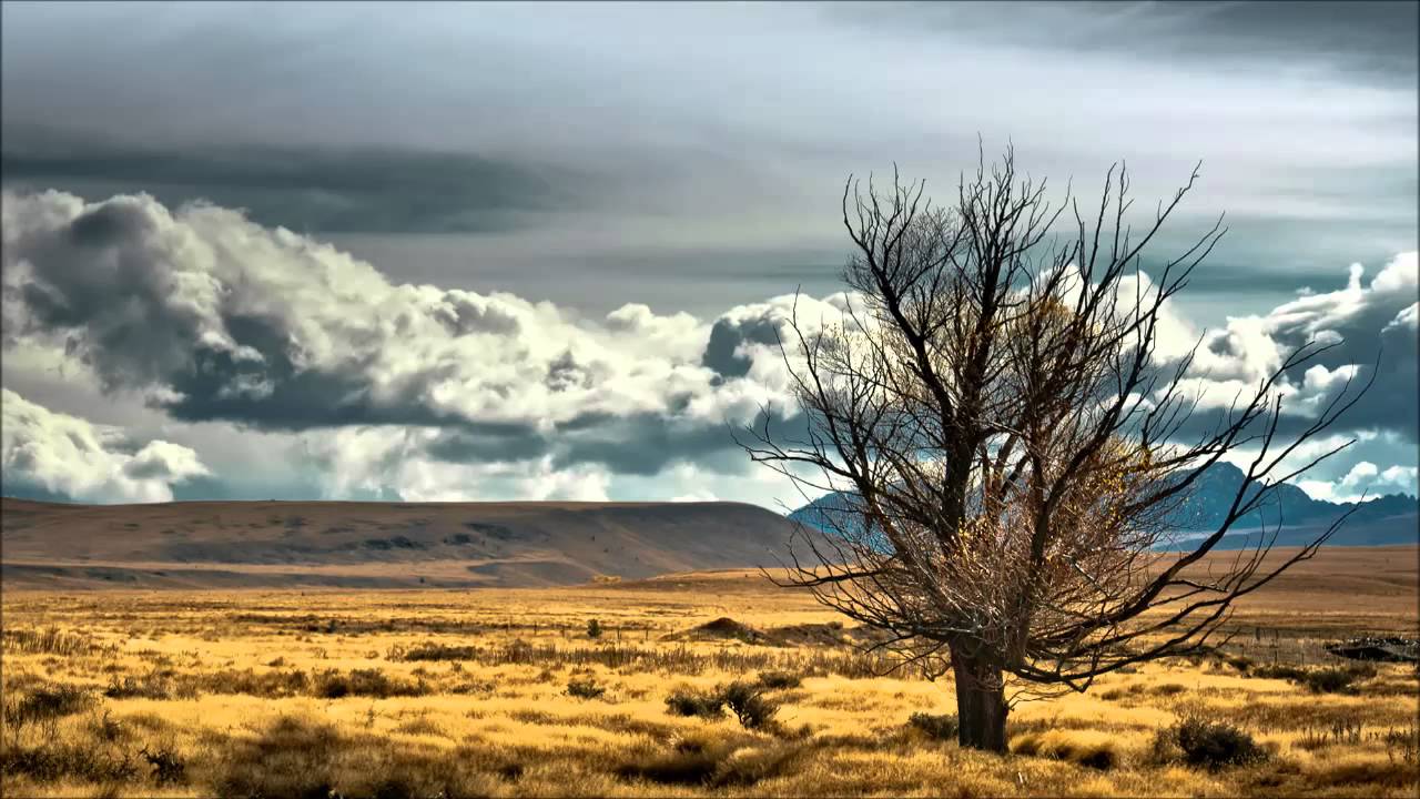 The Steppe - Zygmunt Noskowski