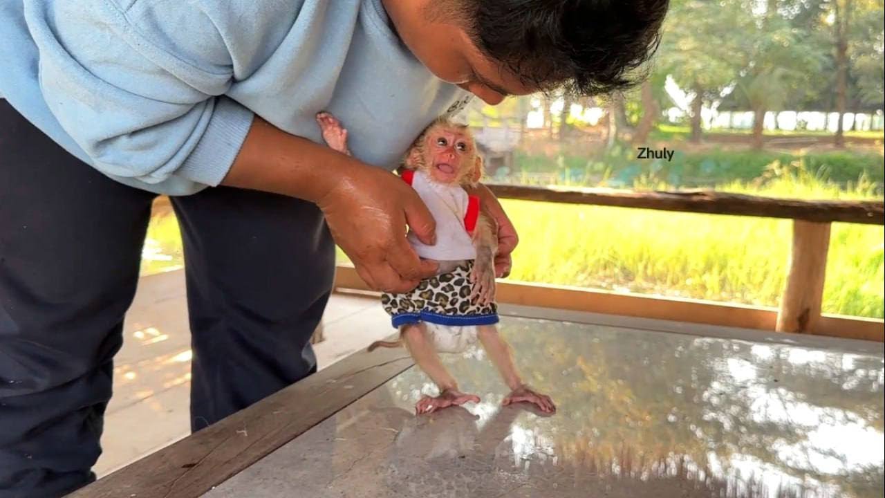 OH GODNESS..!! Zhuly Doesn’t Decide To Leave Dad For Play A Lone