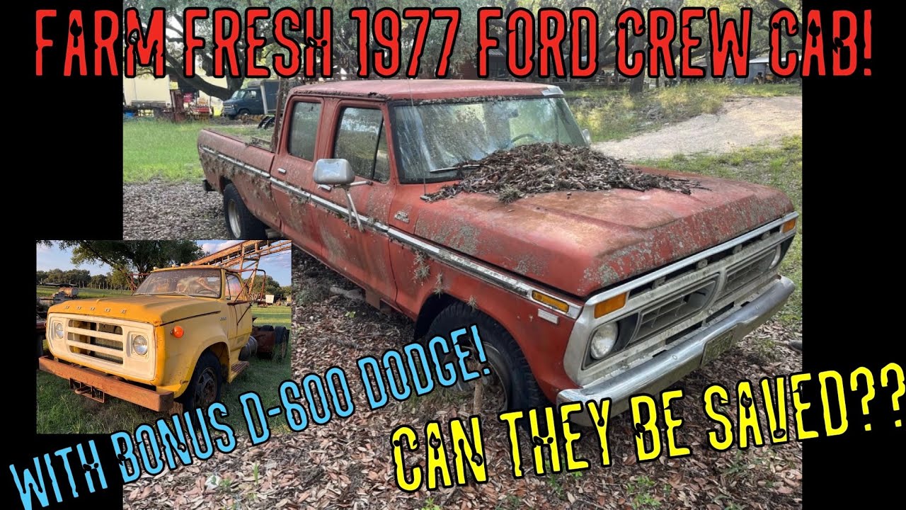 We save a 1977 Ford Crew cab and 77 Dodge D-600! Both sitting near 20 years!