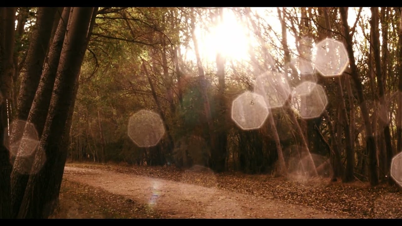 A Walk in Woodend, 2023