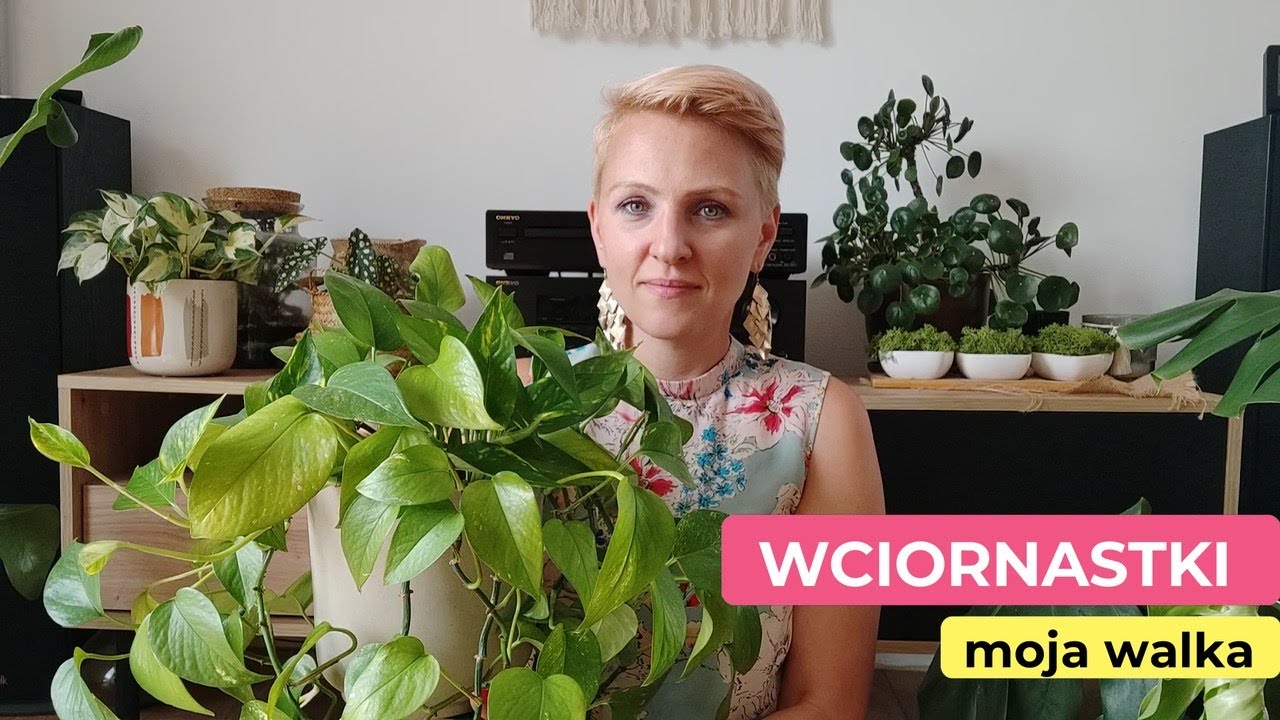 WCIORNASTKI | Jak z nimi walczę? | Zmądrzałam | Sposób na wciornastki || PIPILOTKA