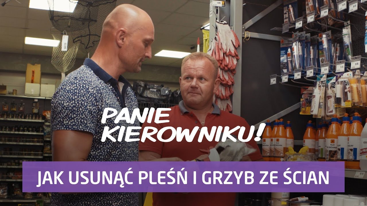 Jak usunąć grzyb i pleśń ze ściany? [Panie Kierowniku]