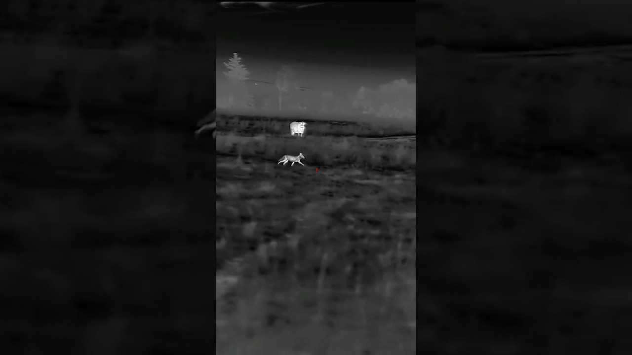 Downwind #gotcha