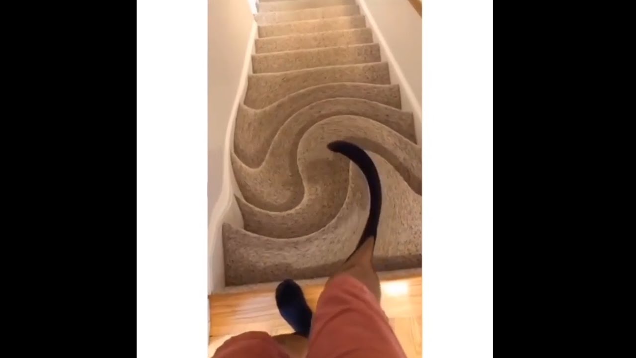 Going down the stairs with the whirlpool effect - Dailymeme #28