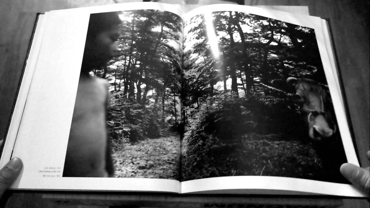 Conflict and Reaction by Lee Gap Chul