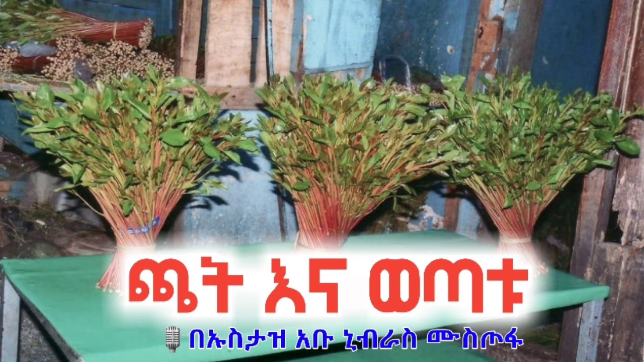 ጫት እና ወጣቱ🎙በኡስታዝ:-  አቡ ኒብራስ አላህ ይጠብቀው።
